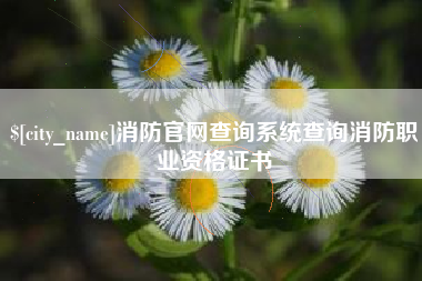 巴彦淖尔消防官网查询系统查询消防职业资格证书
