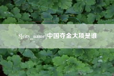 巴彦淖尔中国夺金大项是谁