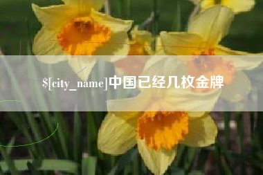 巴彦淖尔中国已经几枚金牌