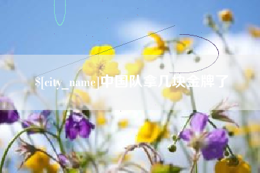 巴彦淖尔中国队拿几块金牌了