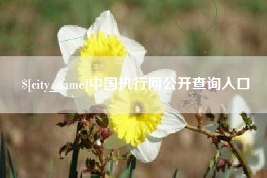 巴彦淖尔中国执行网公开查询入口