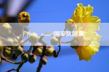 巴彦淖尔国家队图案