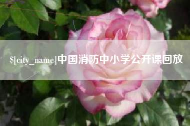 巴彦淖尔中国消防中小学公开课回放