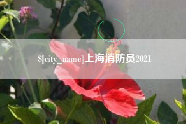 巴彦淖尔上海消防员2021