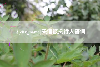 巴彦淖尔失信被执行人杳询