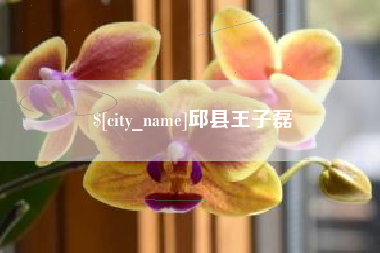巴彦淖尔邱县王子磊
