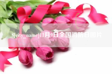 巴彦淖尔11月9日全国消防日图片