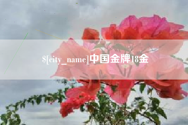 巴彦淖尔中国金牌18金
