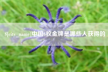 巴彦淖尔中国6枚金牌是哪些人获得的