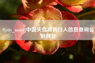 巴彦淖尔中国失信被执行人信息查询公开网址