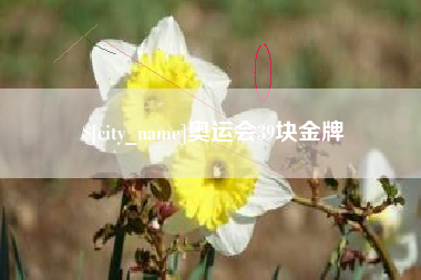 巴彦淖尔奥运会39块金牌