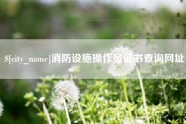 巴彦淖尔消防设施操作员证书查询网址