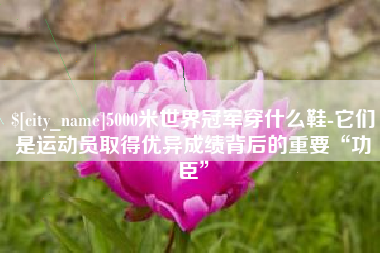 巴彦淖尔5000米世界冠军穿什么鞋-它们是运动员取得优异成绩背后的重要“功臣”