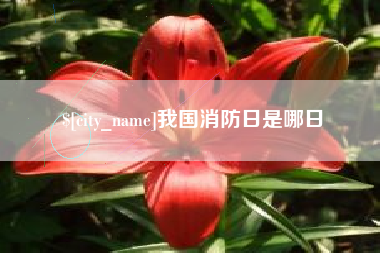 巴彦淖尔我国消防日是哪日