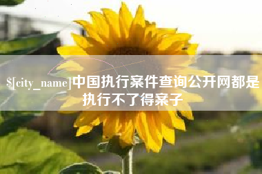 巴彦淖尔中国执行案件查询公开网都是执行不了得案子