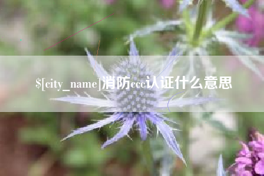 巴彦淖尔消防ccc认证什么意思