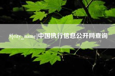 巴彦淖尔中国执行信息公开网查询