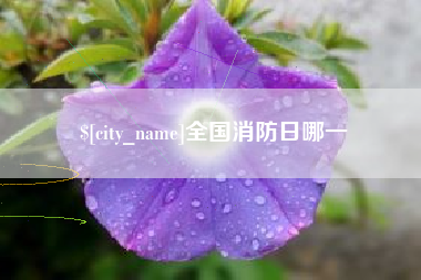 巴彦淖尔全国消防日哪一