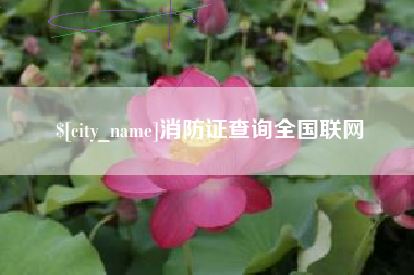 巴彦淖尔消防证查询全国联网