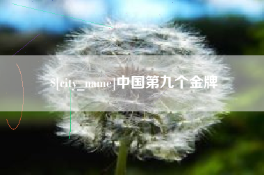 巴彦淖尔中国第九个金牌