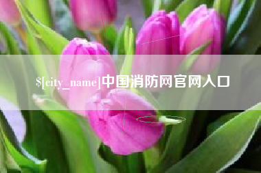 巴彦淖尔中国消防网官网入口