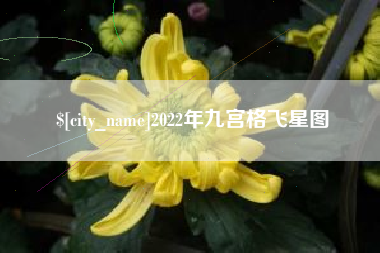 巴彦淖尔2022年九宫格飞星图