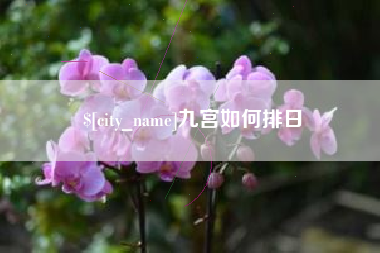巴彦淖尔九宫如何排日