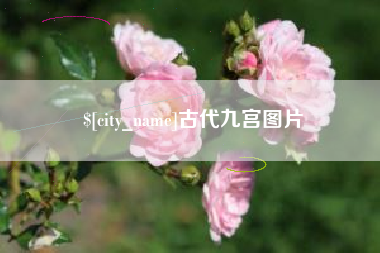 巴彦淖尔古代九宫图片