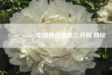 巴彦淖尔中国执行信息公开网 网址