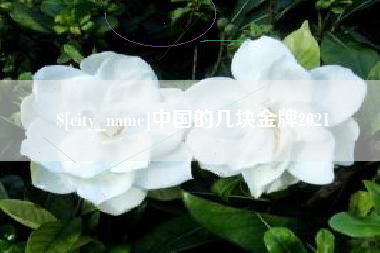 巴彦淖尔中国的几块金牌2021
