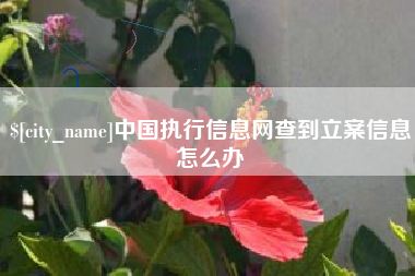 巴彦淖尔中国执行信息网查到立案信息怎么办