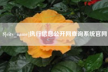 巴彦淖尔执行信息公开网查询系统官网