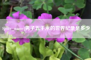 巴彦淖尔男子五千米的世界纪录是多少