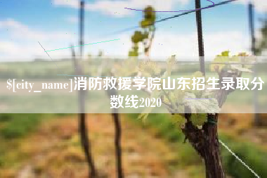 巴彦淖尔消防救援学院山东招生录取分数线2020