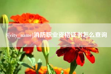 巴彦淖尔消防职业资格证书怎么查询