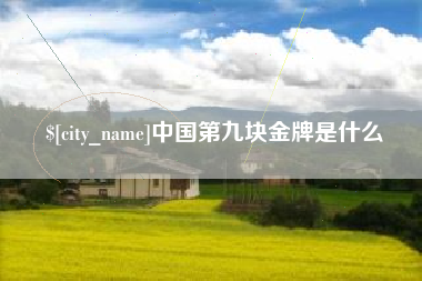 巴彦淖尔中国第九块金牌是什么