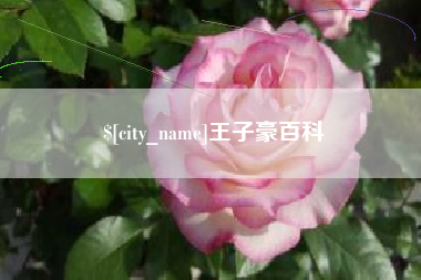 巴彦淖尔王子豪百科