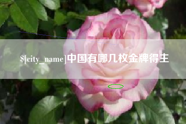巴彦淖尔中国有哪几枚金牌得主