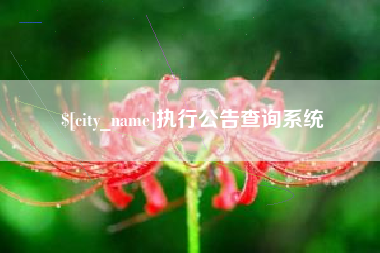 巴彦淖尔执行公告查询系统