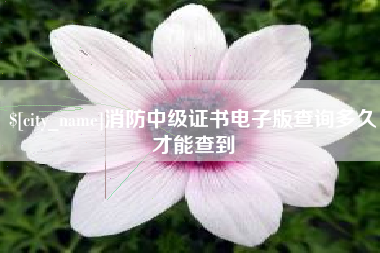 巴彦淖尔消防中级证书电子版查询多久才能查到