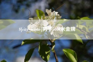 巴彦淖尔男子5000米金牌
