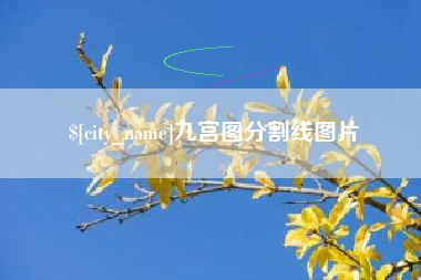 巴彦淖尔九宫图分割线图片