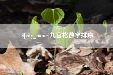 巴彦淖尔九宫格数字排序