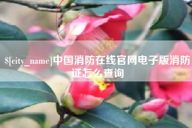 巴彦淖尔中国消防在线官网电子版消防证怎么查询