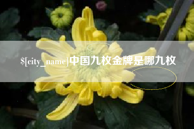巴彦淖尔中国九枚金牌是哪九枚