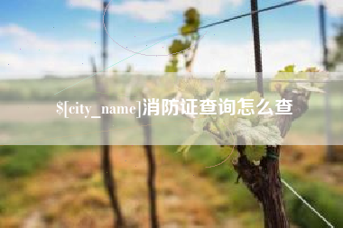 巴彦淖尔消防证查询怎么查