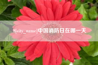 巴彦淖尔中国消防日在哪一天