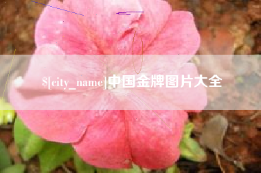巴彦淖尔中国金牌图片大全