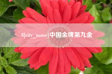 巴彦淖尔中国金牌第九金