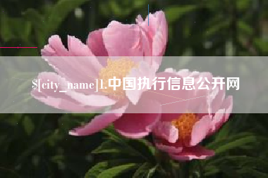 巴彦淖尔1.中国执行信息公开网
